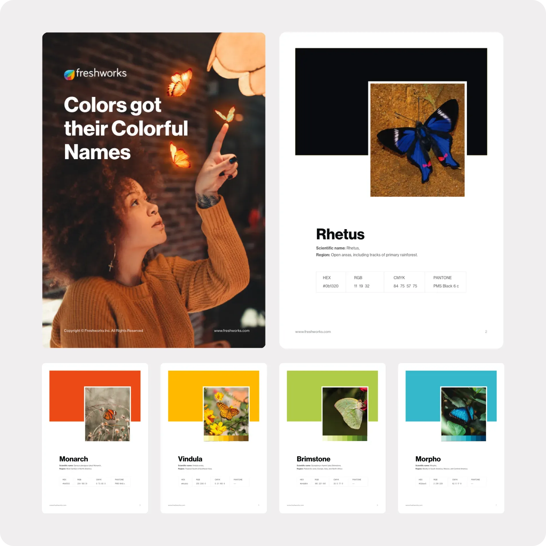 “Colors got their Colorful Names” booklet: each brand color is named after a butterfly, such as Rhetus, Monarch, Vindula, Brimstone and Morpho, with its photo, scientific name, region and HEX, RGB, CMYK and Pantone values